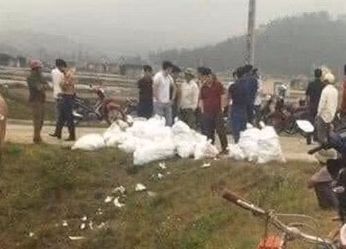 附图:嫌疑人仍在路边的毒品。图自互联网 附图:嫌疑人仍在路边的毒品。图自互联网