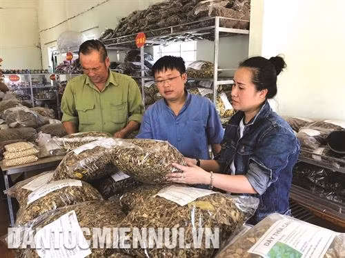 游客了解乂安省昆光橙子制品。记者 碧惠 摄 出售农产品,服务前来乂安省西部旅游的游客。记者 碧惠 摄 青章县青安乡朝高茶山成为吸引大量游客的旅游景点。记者 校专 摄 义坛县义山乡向日葵花田吸引许多游客前来拍照留念。记者 尹晋 摄 游客能进入昆光县蓬溪乡橙子园参观和现场品尝橙子。记者 碧惠 摄 游客了解乂安省昆光橙子制品。记者 碧惠 摄 出售农产品,服务前来乂安省西部旅游的游客。记者 碧惠 摄 青章县青安乡朝高茶山成为吸引大量游客的旅游景点。记者 校专 摄 义坛县义山乡向日葵花田吸引许多游客前来拍照留念。记者 尹晋 摄 游客能进入昆光县蓬溪乡橙子园参观和现场品尝橙子。记者 碧惠 摄