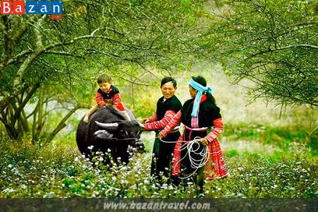 附图。图自bazantravel.com