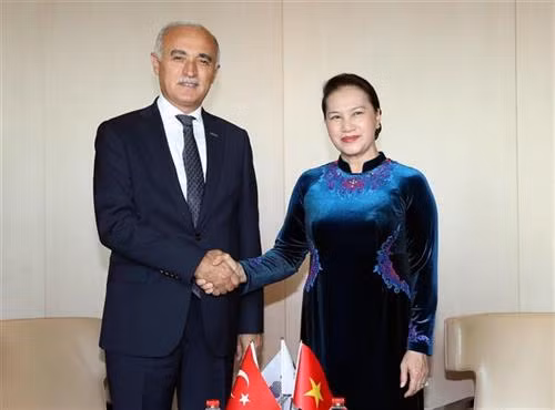 国会主席阮氏金银会见土耳其对外经济关系委员会主席。越通社记者 重德 摄