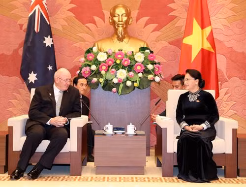 越南国会主席阮氏金银会见澳大利亚总督科斯格罗夫。越通社记者 重德 摄 越南国会主席阮氏金银会见澳大利亚总督科斯格罗夫。越通社记者 重德 摄