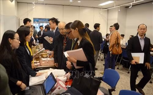 双方企业相互了解寻求合作商机。图自越通社 双方企业相互了解寻求合作商机。图自越通社