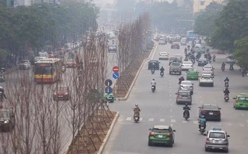 河内市努力实现种植100万棵树的目标。图自因特网