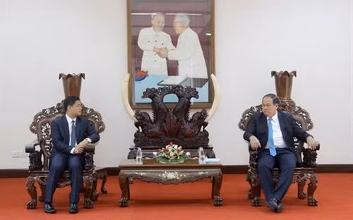 安江省人民委员会主席阮青平与柬埔寨驻胡志明市总领事索科·达雷斯。图自越通社 安江省人民委员会主席阮青平与柬埔寨驻胡志明市总领事索科·达雷斯。图自越通社