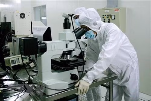 资料图：胡志明市高科技园区半导体芯片研发活动。图自越通社