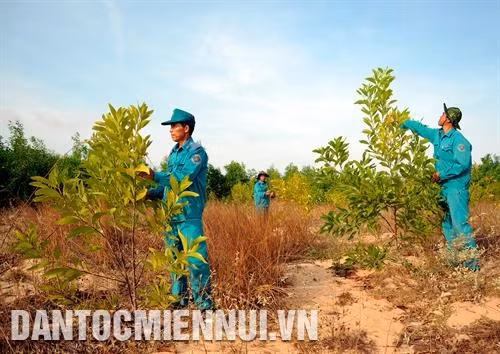 黎红峰森林管理委员会干部检查在北平县和胜乡地区种植的林木生存率。记者 安孝 摄 向平顺省沿海县居民开展宣传工作，提高他们保护林木的意识。记者 安孝 摄