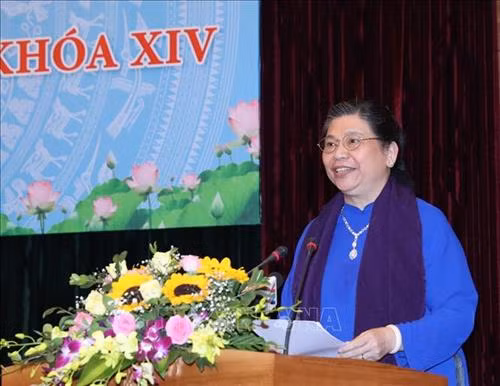国会常务副主席、越南国会女代表小组主席丛氏放发表讲话。图自越通社