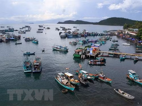 附图。图自越通社 附图。图自越通社