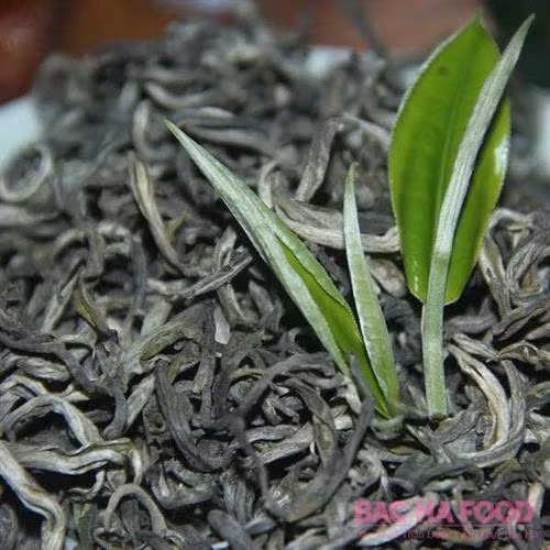 山雪茶。图自互联网 山雪茶。图自互联网