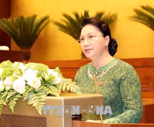 越南国会主席阮氏金银在会议上发表讲话。(图片来源:越通社) 越南国会主席阮氏金银在会议上发表讲话。(图片来源:越通社)