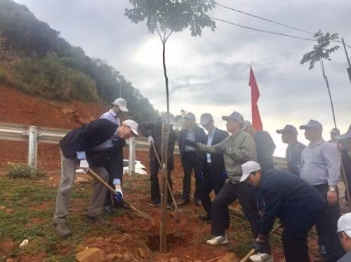 代表们一起植树。图自越通社 代表们一起植树。图自越通社