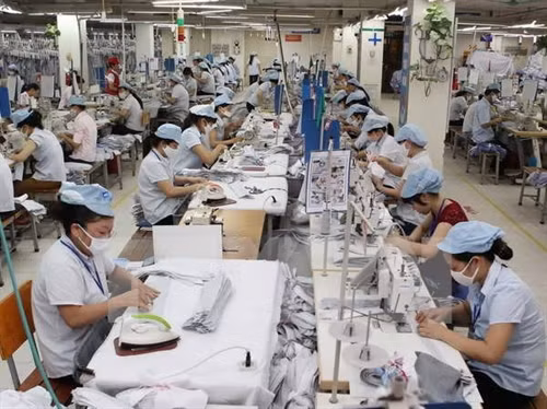 附图。（图片来源：越通社）