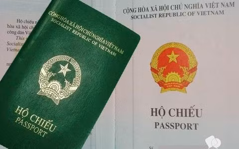 附图。图自互联网 附图。图自互联网