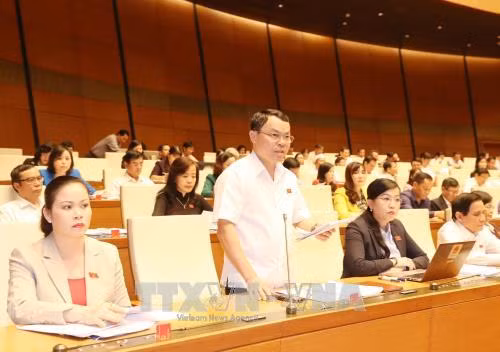 和平省代表阮进生发表意见。(图片来源:越通社) 和平省代表阮进生发表意见。(图片来源:越通社)