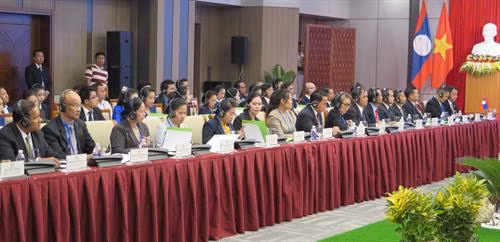 出席第九次工作经验交流会代表。(图片来源:越通社) 出席第九次工作经验交流会代表。(图片来源:越通社)