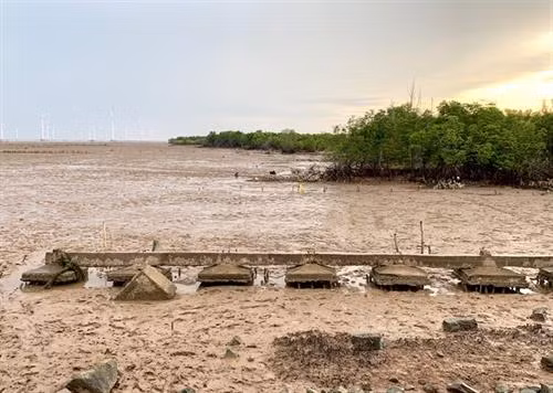 九龙江三角洲地面沉降平均每年下沉2-5公分。图自互联网