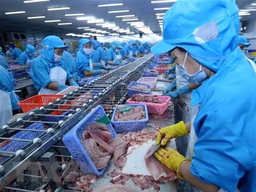资料图。图自越通社