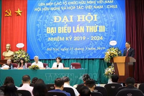 越南友好组织联合会主席阮芳娥在大会上发表讲话。图自越通社