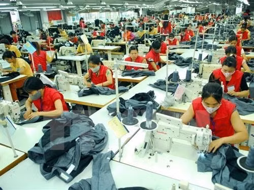 纺织品服装是越南向俄罗斯出口的商品之一。（图片来源：越通社）