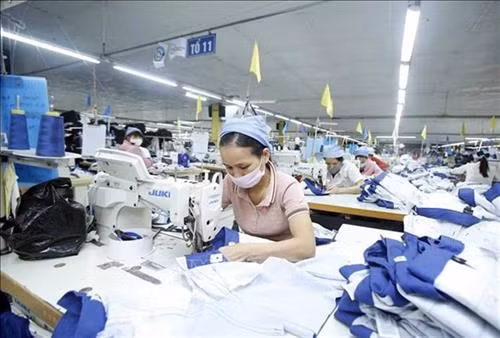 附图。图自越通社 附图。图自越通社