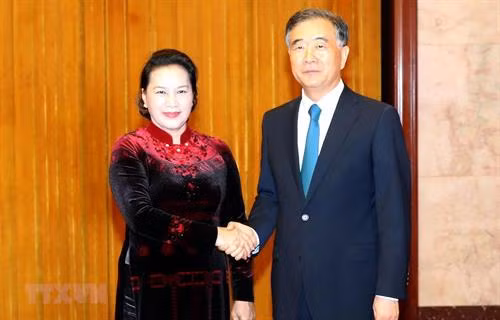 阮氏金银与中国全国政协主席汪洋握手 图自越通社