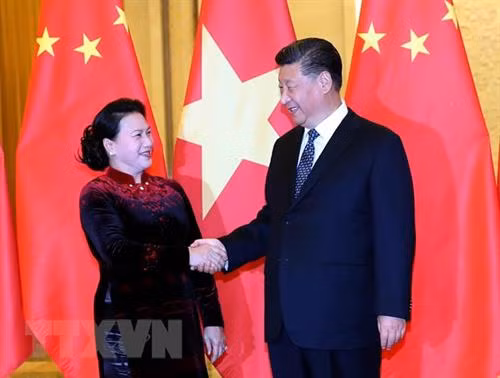 阮氏金银与习近平握手 图自越通社
