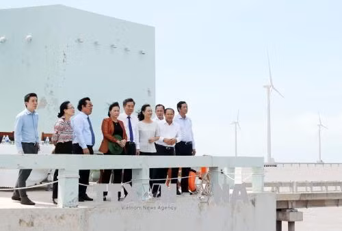 阮氏金银已参观访问了设在薄辽市永泽东乡沿海地区的薄辽风电场。。越通社记者 仲德 摄