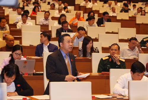 国会代表发表意见。图自越通社