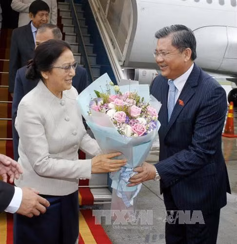 越南国会对外委员会主任阮文饶到内排机场迎接巴尼·亚托杜。(图片来源:越通社) 越南国会对外委员会主任阮文饶到内排机场迎接巴尼·亚托杜。(图片来源:越通社)