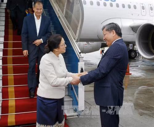 越南国会对外委员会主任阮文饶到内排机场迎接巴尼·亚托杜。(图片来源:越通社) 越南国会对外委员会主任阮文饶到内排机场迎接巴尼·亚托杜。(图片来源:越通社)