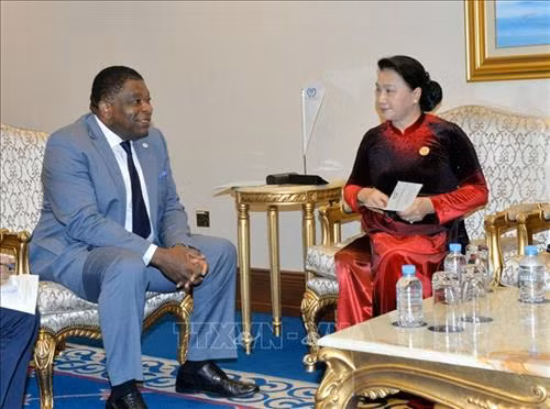 越南国会主席阮氏金银会见各国议会联盟秘书长马丁•纯贡。图自越通社 越南国会主席阮氏金银会见各国议会联盟秘书长马丁•纯贡。图自越通社