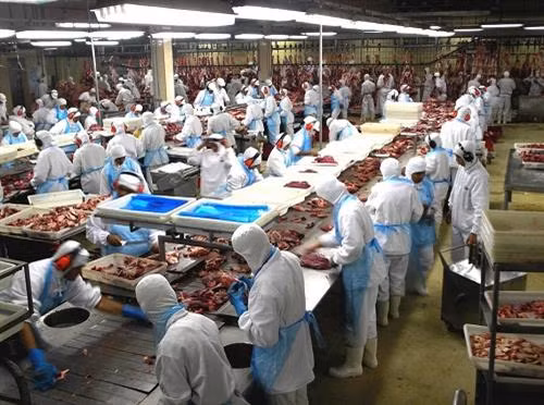 资料图：加大对食品加工工业的投资力度。图自互联网