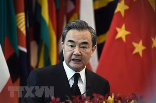 中国愿与东盟建立更为紧密的命运共同体 ảnh 1