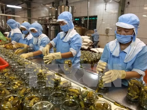附图(图片来源:越通社) 附图(图片来源:越通社)