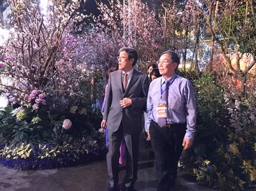 日本驻越特命全权大使梅田邦夫(左一)观赏樱花。图自越通社 日本驻越特命全权大使梅田邦夫(左一)观赏樱花。图自越通社