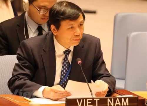 越南常驻联合国代表团团长邓廷贵大使。(图片来源:越通社) 越南常驻联合国代表团团长邓廷贵大使。(图片来源:越通社)