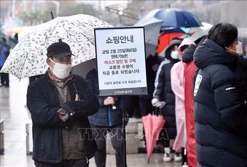 附图：韩国人民排队购买口罩。图自越通社