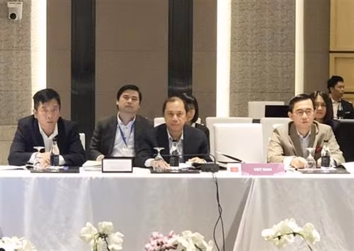 越南代表团。图自越通社