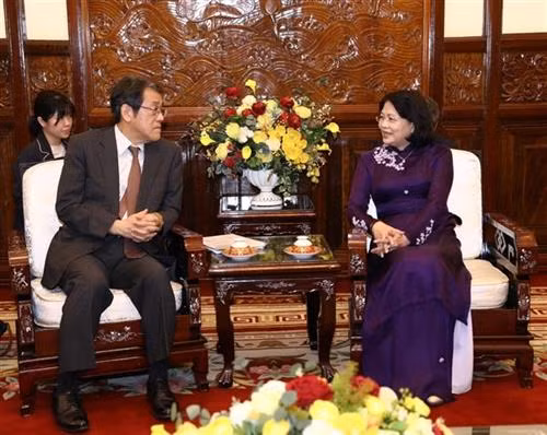 越南国家副主席邓氏玉盛会见日本驻越大使梅田邦夫。兔子月通社 越南国家副主席邓氏玉盛会见日本驻越大使梅田邦夫。兔子月通社