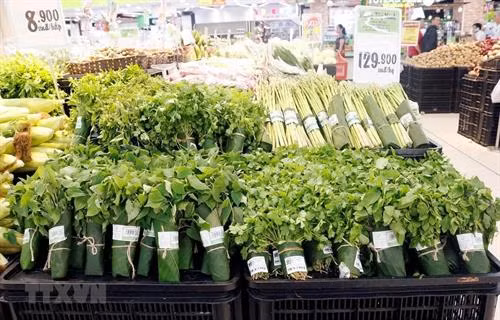 许多连锁超市已开始使用环保产品替代塑料袋包装食品。图自越通社