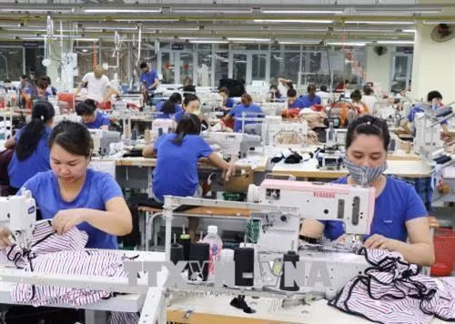 附图 图自越通社