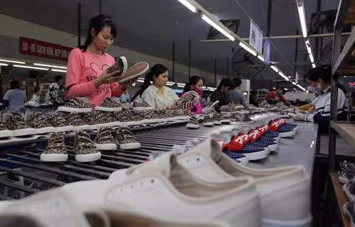 附图。图自越通社 附图。图自越通社