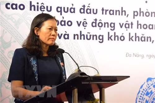 国会司法委员会主任黎氏娥在会上发表讲话。图自越通社 国会司法委员会主任黎氏娥在会上发表讲话。图自越通社