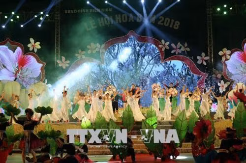 2018年奠边省羊蹄甲花节文艺表演节目。越通社记者 潘俊英 摄 2018年奠边省羊蹄甲花节文艺表演节目。越通社记者 潘俊英 摄