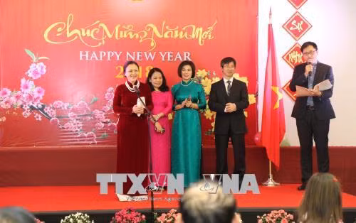 2018戊戌年迎春见面会场景。（图片来源：越通社）