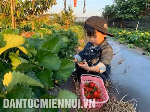 各农业旅游景点吸引大量小朋友前来参观和了解。记者 光泰 摄
