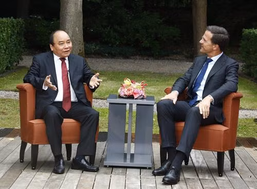 越南政府总理阮春福与荷兰首相马克·吕特举行会谈。（图片来源：越通社）