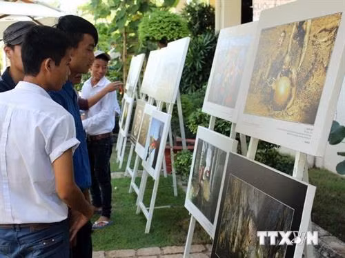 附图：越南遗产图片展。（图片来源：越通社）