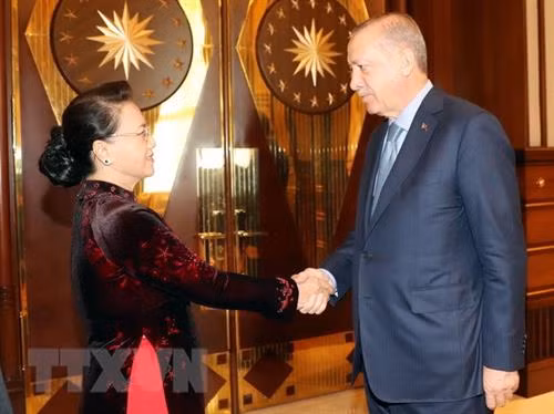 越南国会主席阮氏金银和土耳其总统雷杰普·塔伊普·埃尔多安。图自越通社 越南国会主席阮氏金银和土耳其总统雷杰普·塔伊普·埃尔多安。图自越通社