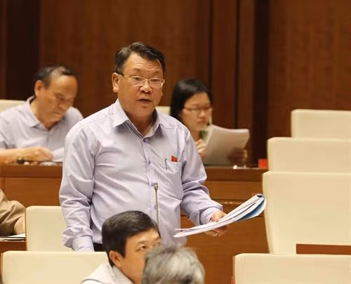 林同省国会代表发表意见。（图片来源：越通社）